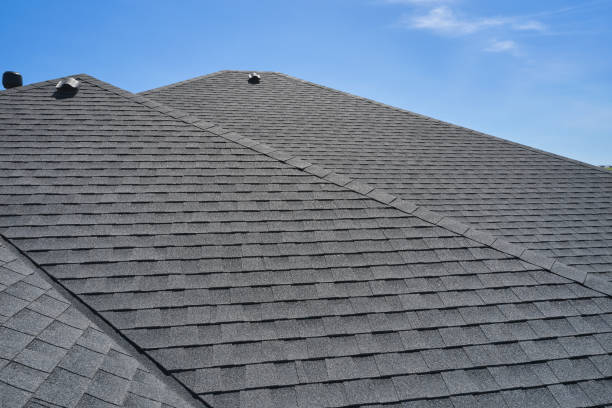 Best Skylight Installation and Repair  in Absecon, NJ